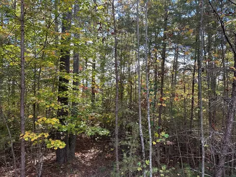 lot15 Doe Trl, Murphy, NC 28906 photo 8