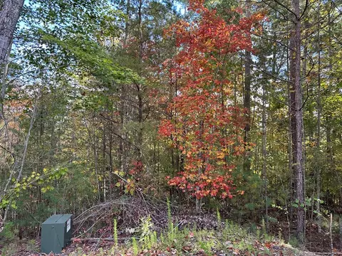 lot15 Doe Trl, Murphy, NC 28906 photo 3