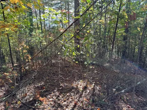 lot15 Doe Trl, Murphy, NC 28906 photo 9