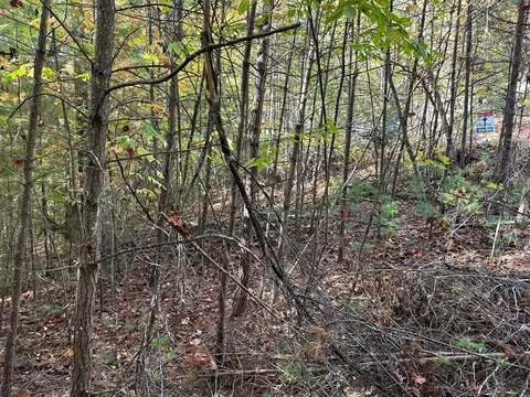 lot15 Doe Trl, Murphy, NC 28906 photo 11