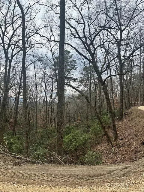 0 Tatham Gap Rd, Andrews, NC 28901