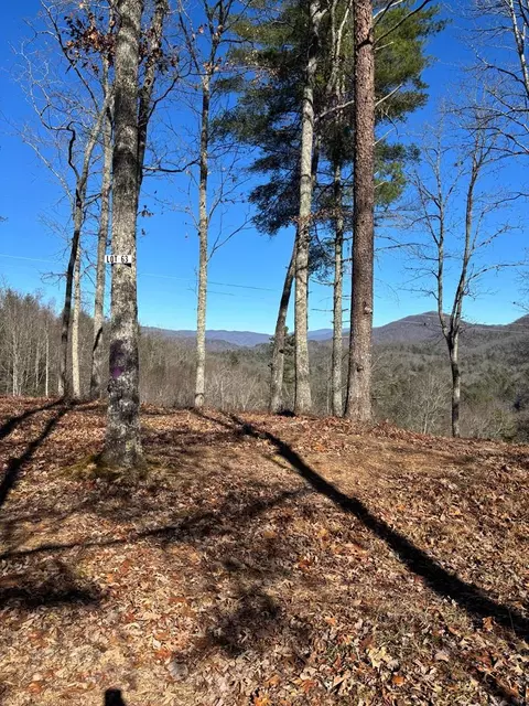 lot63 Thundering Hl, Murphy, NC 28906