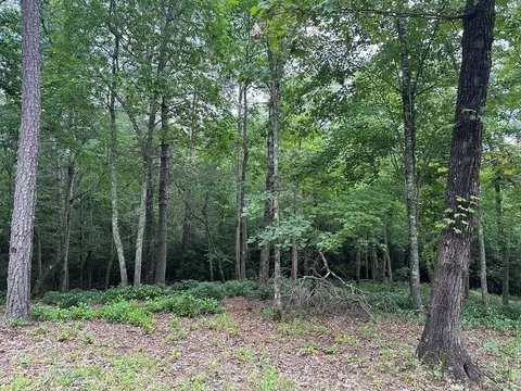 Undisclosed, Warne, NC 28909 photo 4