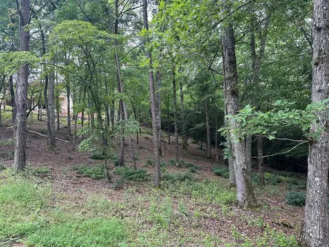 Undisclosed, Warne, NC 28909 photo 6