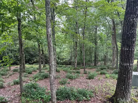Undisclosed, Warne, NC 28909