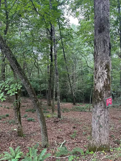 Undisclosed, Warne, NC 28909 photo 13