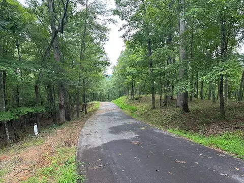 Undisclosed, Warne, NC 28909 photo 10