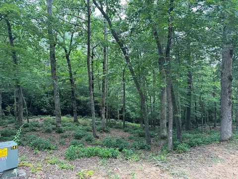 Undisclosed, Warne, NC 28909 photo 5