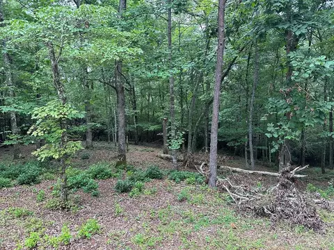Undisclosed, Warne, NC 28909 photo 11