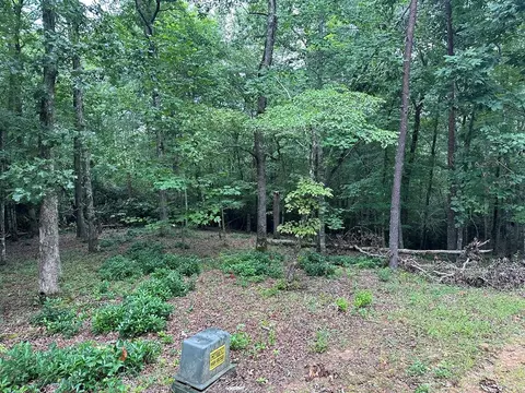 Undisclosed, Warne, NC 28909 photo 8