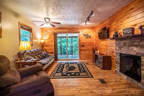 56 Wildflower Trl, Murphy, NC 28906 photo 4