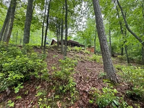 12 Noseeum Ln, Murphy, NC 28906 photo 13