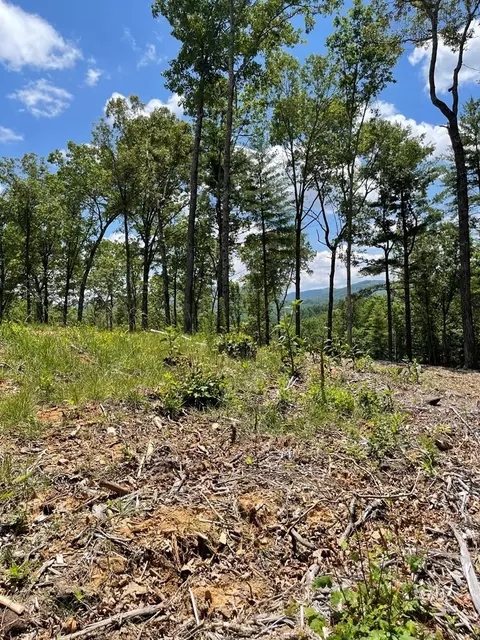 Undisclosed, Morganton, GA 30560 photo 11