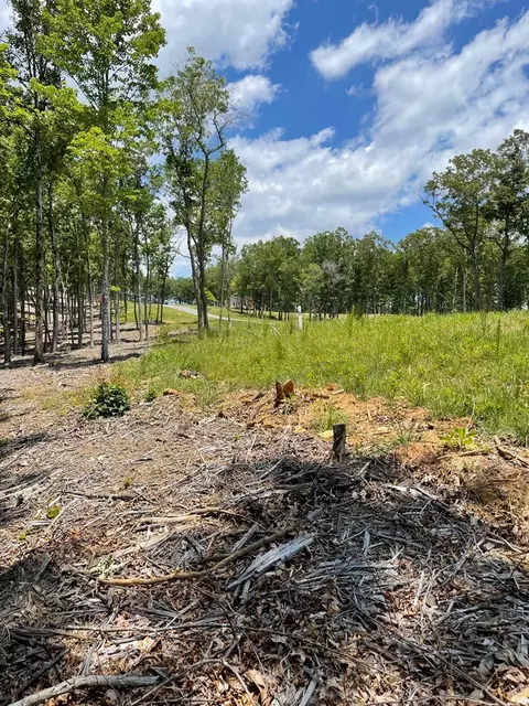 Undisclosed, Morganton, GA 30560 photo 12