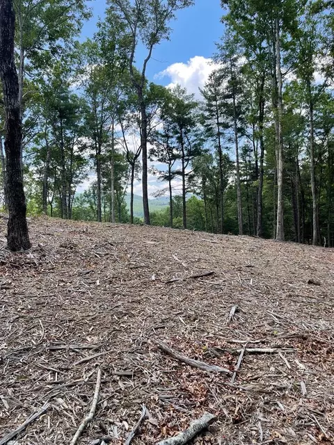 Undisclosed, Morganton, GA 30560