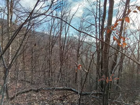 1500 Bear Mountain Rd, Murphy, NC 28906 photo 4