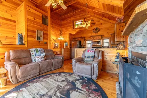 Living - 65 Running Waters Trl, Murphy, NC 28906 photo 3 of 3