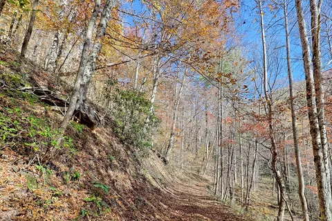 Other - Undisclosed, Hayesville, NC 28904 photo 18 of 18