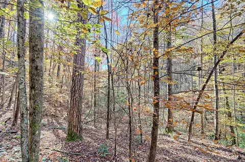 Exterior - Undisclosed, Hayesville, NC 28904 photo 20 of 33