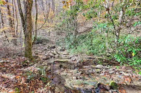 Other - Undisclosed, Hayesville, NC 28904 photo 4 of 18