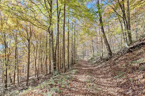 Other - Undisclosed, Hayesville, NC 28904 photo 14 of 18