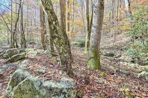 Exterior - Undisclosed, Hayesville, NC 28904 photo 4 of 33