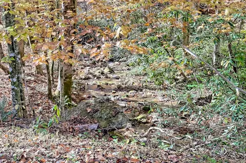 Other - Undisclosed, Hayesville, NC 28904 photo 12 of 18