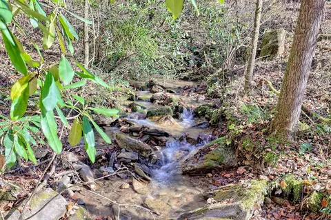 Other - Undisclosed, Hayesville, NC 28904 photo 1 of 18