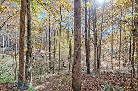 Exterior - Undisclosed, Hayesville, NC 28904 photo 30 of 33