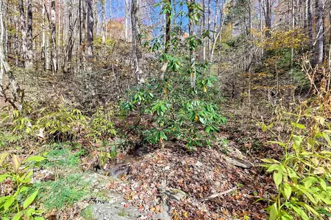 Other - Undisclosed, Hayesville, NC 28904 photo 13 of 18