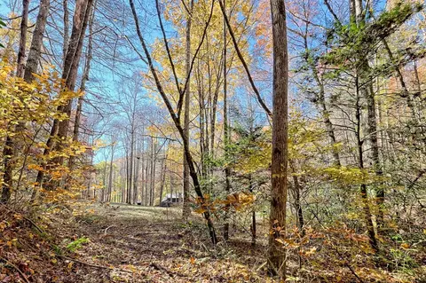 Exterior - Undisclosed, Hayesville, NC 28904 photo 33 of 33