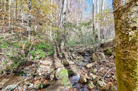 Other - Undisclosed, Hayesville, NC 28904 photo 10 of 18