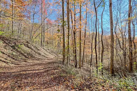 Other - Undisclosed, Hayesville, NC 28904 photo 16 of 18