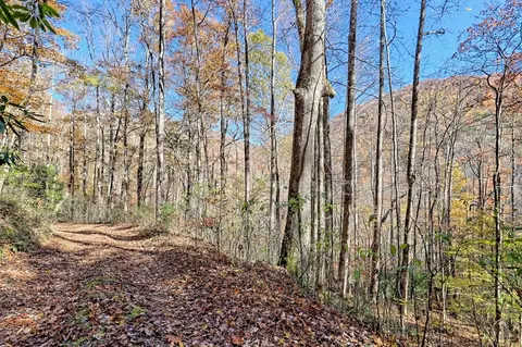 Other - Undisclosed, Hayesville, NC 28904 photo 15 of 18