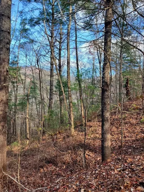 6 Katerina Ln # -4, Murphy, NC 28906