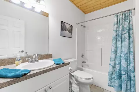 Bath - 358 Misty River Cir, Murphy, NC 28906 photo 3 of 5
