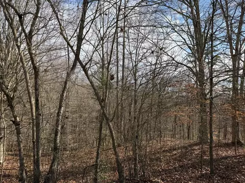 4 5 6 Mountain Wood Dr, Murphy, NC 28906