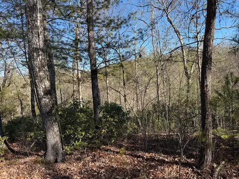 lot Apt 20 Yellow Maple Dr, Murphy, NC 28906 photo 6