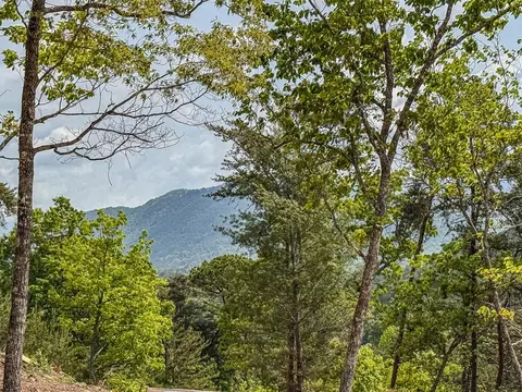 134 Mistletoe Rdg, Murphy, NC 28906 photo 3