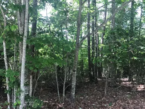 6 Mountain Pass, Murphy, NC 28906 photo 1