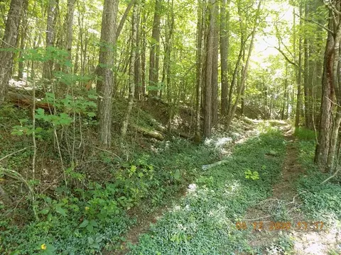 tbd Martins Creek Rd, Murphy, NC 28906 photo 1