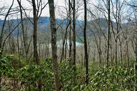 tbd Zimmerman Holly Ridge Rd, Nantahala, NC 28781