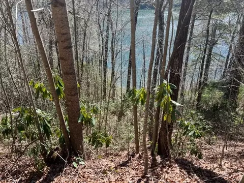 lot42 Little Chogas Pl, Topton, NC 28781