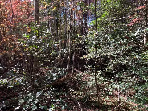 1 Liberty Lane, Murphy, NC 28906 photo 4