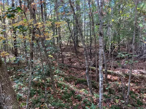 1 Liberty Lane, Murphy, NC 28906 photo 8