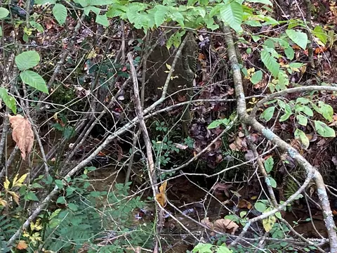 1 Liberty Lane, Murphy, NC 28906 photo 9