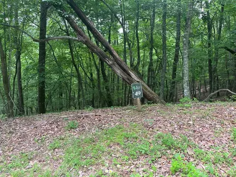 lot49 Burger Rd, Murphy, NC 28906 photo 2