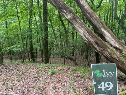 lot49 Burger Rd, Murphy, NC 28906 photo 3