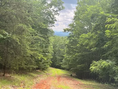 lot49 Burger Rd, Murphy, NC 28906 photo 7