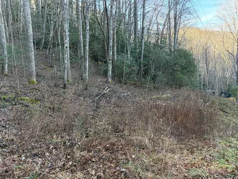 00 Choga Trl, Topton, NC 28781